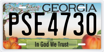 GA license plate PSE4730