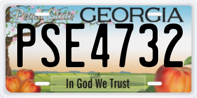 GA license plate PSE4732