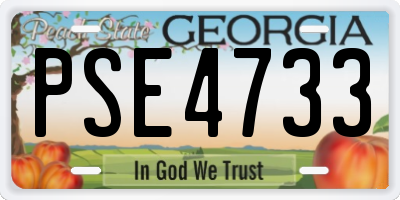 GA license plate PSE4733
