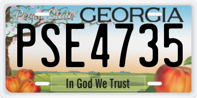 GA license plate PSE4735