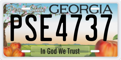 GA license plate PSE4737