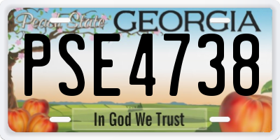 GA license plate PSE4738