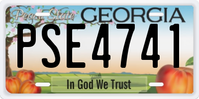 GA license plate PSE4741