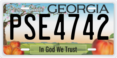 GA license plate PSE4742