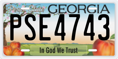 GA license plate PSE4743