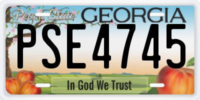 GA license plate PSE4745