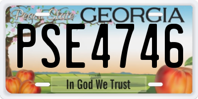 GA license plate PSE4746