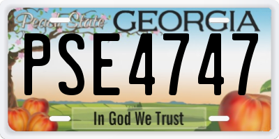 GA license plate PSE4747