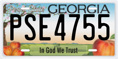 GA license plate PSE4755