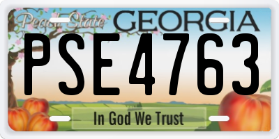 GA license plate PSE4763