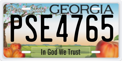 GA license plate PSE4765