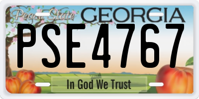 GA license plate PSE4767