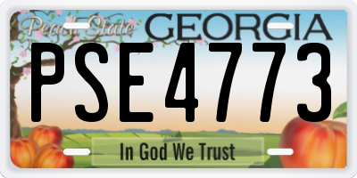 GA license plate PSE4773