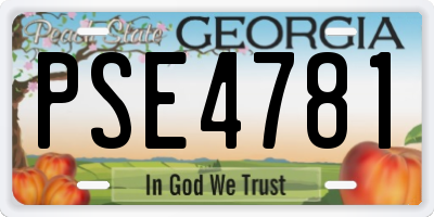 GA license plate PSE4781