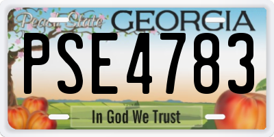GA license plate PSE4783