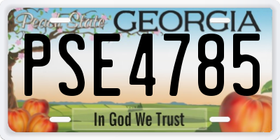 GA license plate PSE4785