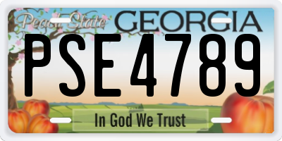 GA license plate PSE4789