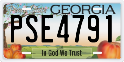GA license plate PSE4791