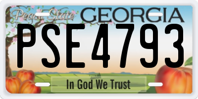 GA license plate PSE4793