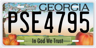 GA license plate PSE4795