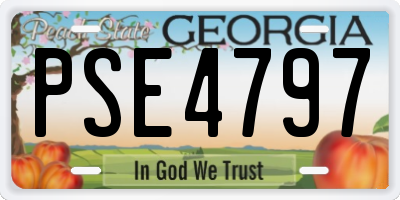 GA license plate PSE4797