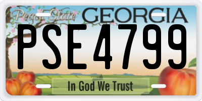 GA license plate PSE4799