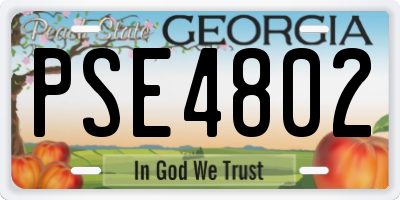 GA license plate PSE4802