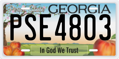 GA license plate PSE4803