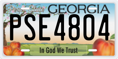 GA license plate PSE4804