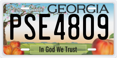 GA license plate PSE4809