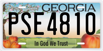 GA license plate PSE4810