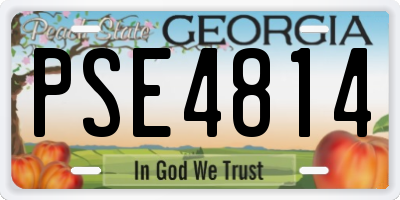 GA license plate PSE4814