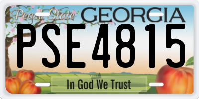 GA license plate PSE4815