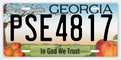 GA license plate PSE4817