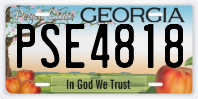 GA license plate PSE4818