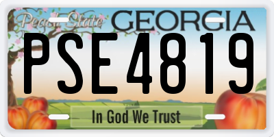 GA license plate PSE4819