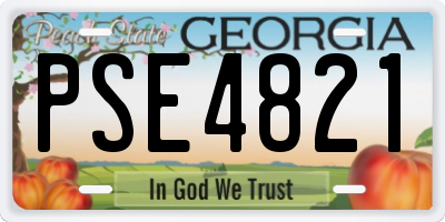 GA license plate PSE4821