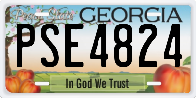 GA license plate PSE4824