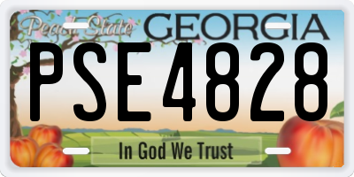 GA license plate PSE4828