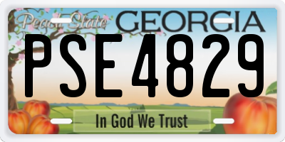 GA license plate PSE4829