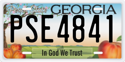 GA license plate PSE4841