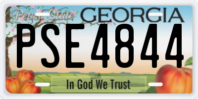 GA license plate PSE4844