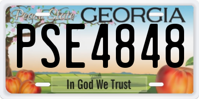 GA license plate PSE4848
