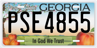 GA license plate PSE4855