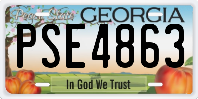 GA license plate PSE4863