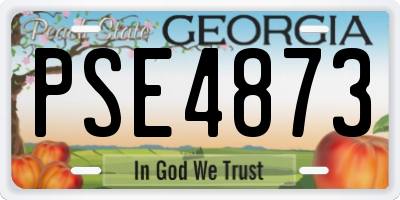 GA license plate PSE4873