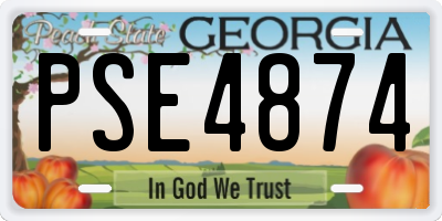 GA license plate PSE4874