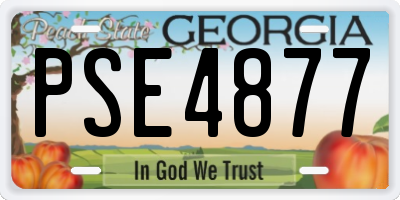 GA license plate PSE4877