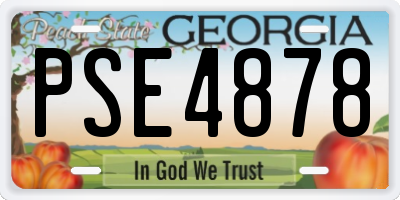 GA license plate PSE4878