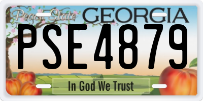 GA license plate PSE4879